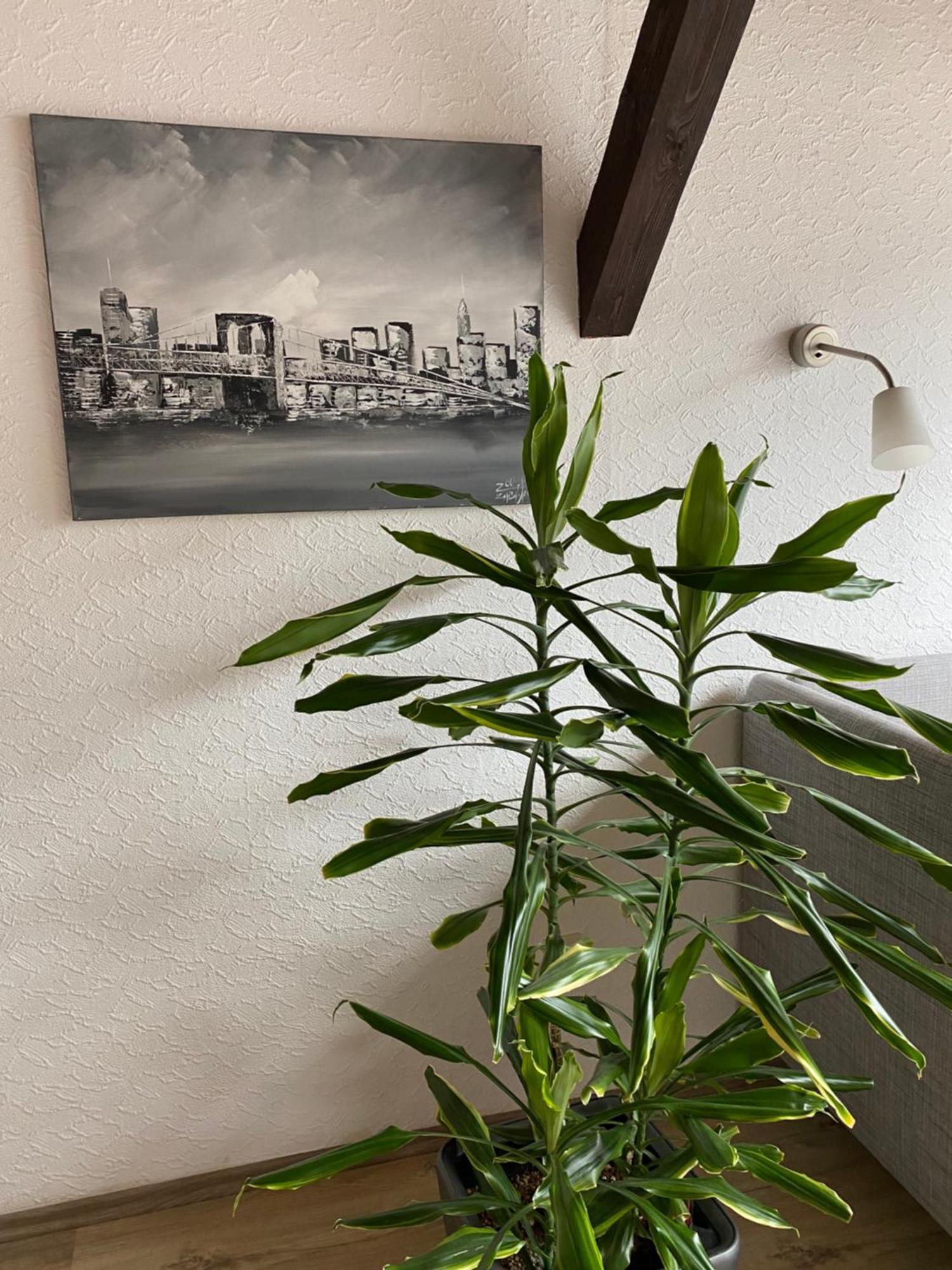 Ferienwohnung Malk Traben-Trarbach Ngoại thất bức ảnh